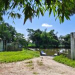 টুয়া মীর বাড়ি